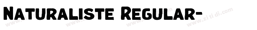Naturaliste Regular字体转换